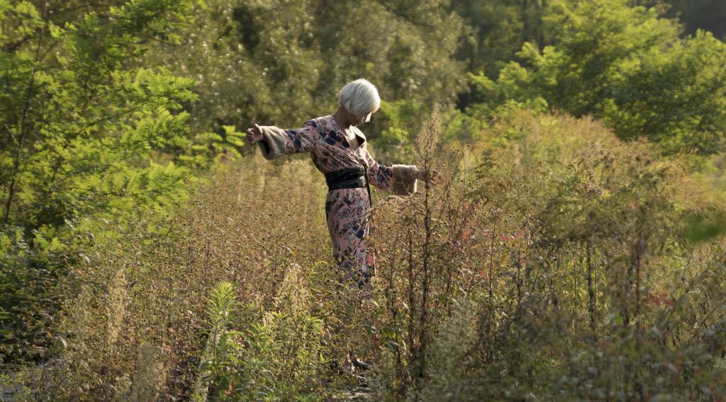 Il destino di una donna in kimono che osserva la natura