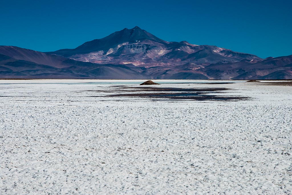 Parque Nacional Nevado tres cruces: Salar de Maricunga