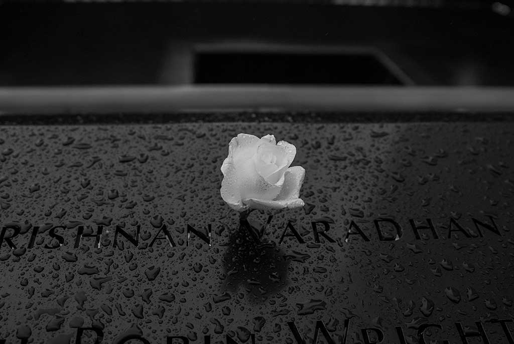 New York, una rosa bianca alle Twin Towers Memorial