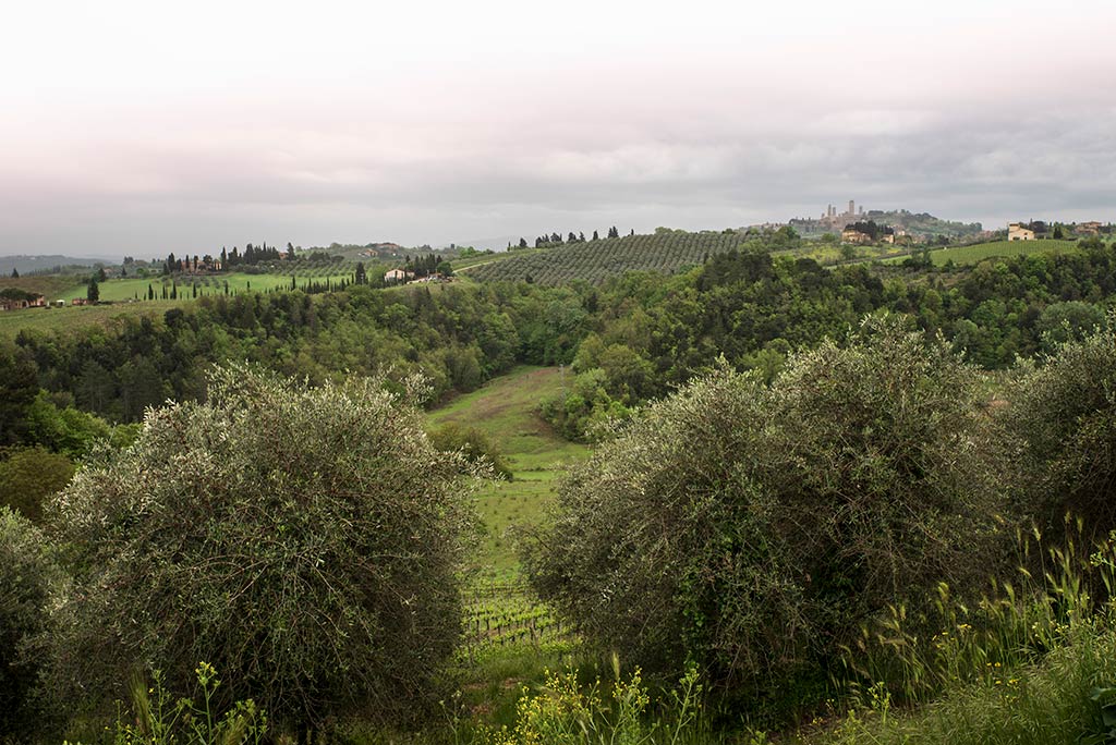 Un altro paesaggio toscano nello scorcio di San Gimignano ripreso da lontano