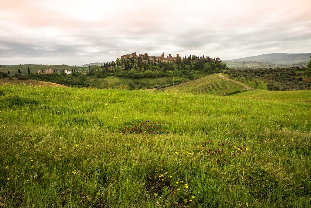 Paesaggio toscano: uno scorcio di Certaldo