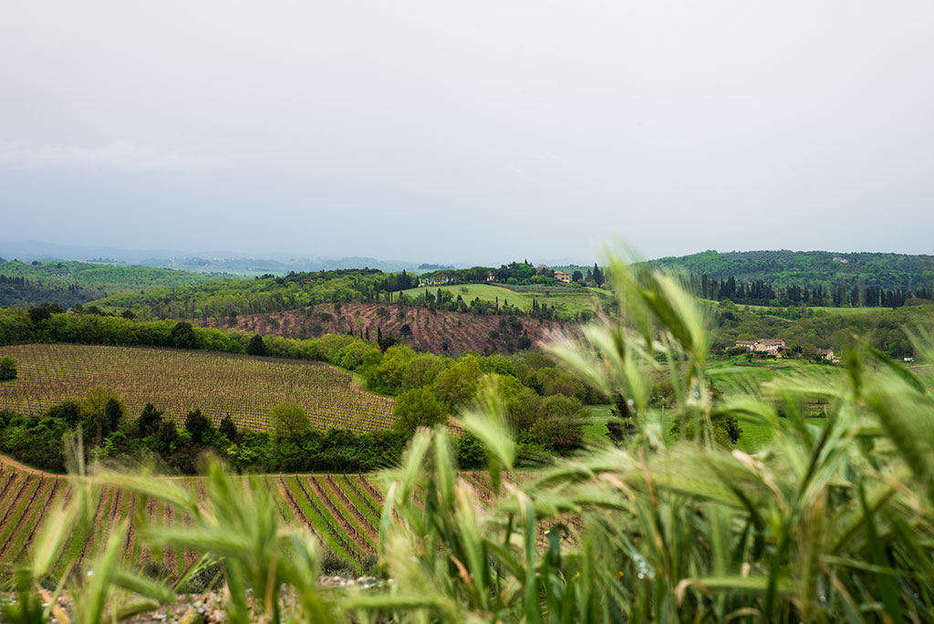 Paesaggio toscano - Volterra