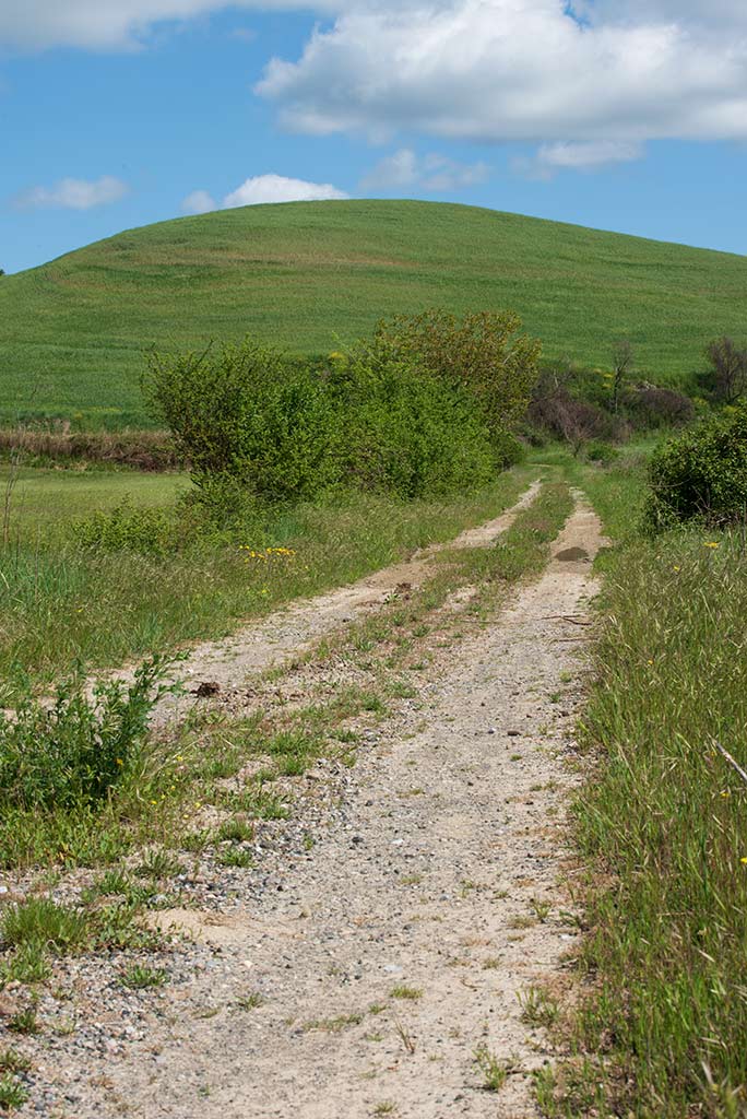 Paesaggio toscano di Uuna strada sterrata in mezzo alle colline.