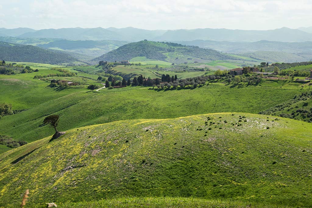 Paesaggio toscano: le tipiche colline toscane con gradazioni di verde diverso.