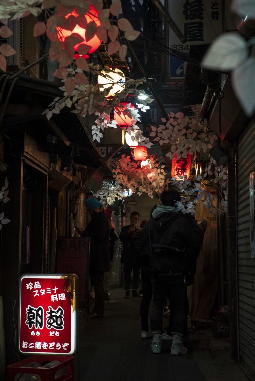 Japan Streets: via alberata illuminata da lampade tradizionali giapponesi