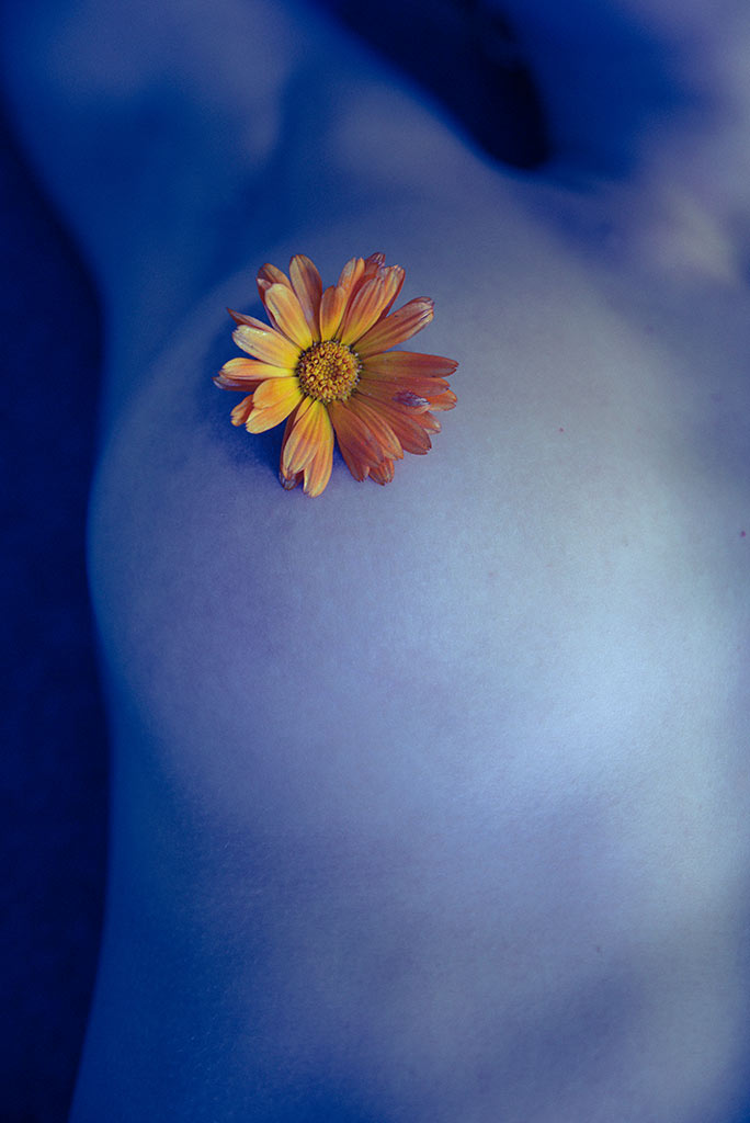 Cross process winter; fiore sul seno della modella.